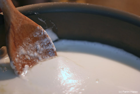 Post image for Homemade Fresh Mozzarella + Cheesemaking Kit Giveaway!