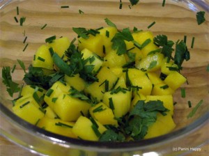 Mango Pico de Gallo