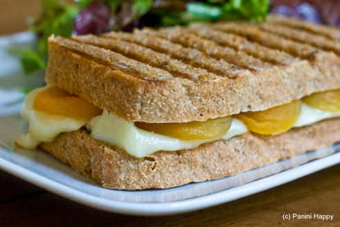 Brie & Dried Apricot Panini