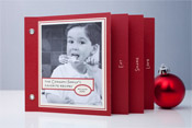See the Holiday Recipe Minibook Cards at Minted