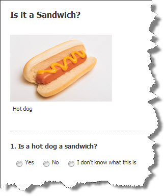 Is a Hot Dog a Sandwich Type Questions? Unwrap the Debate!