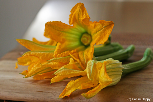 Squash Blossoms