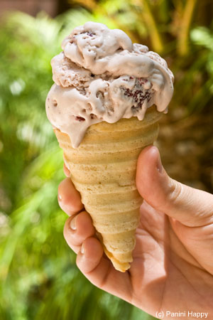 Homemade ice cream deals cones