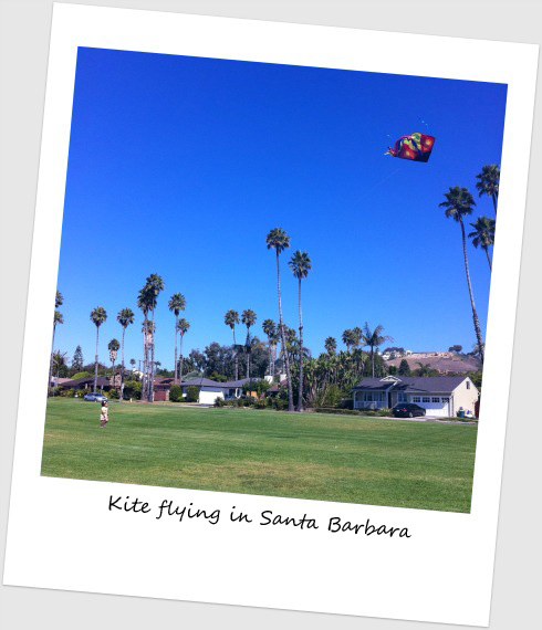 Kite flying in Santa Barbara