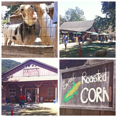 Avila Valley Barn